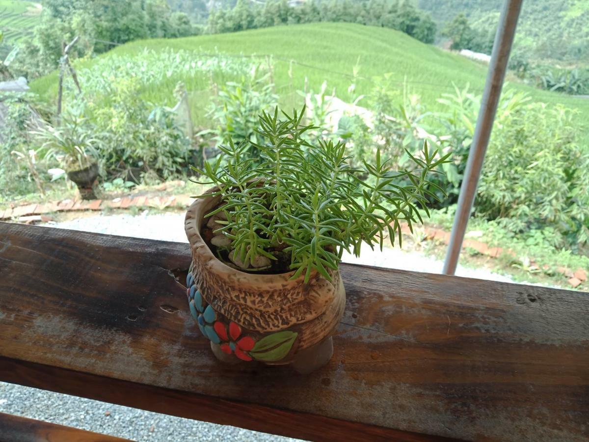 My'S Homestay Sapa Exterior photo